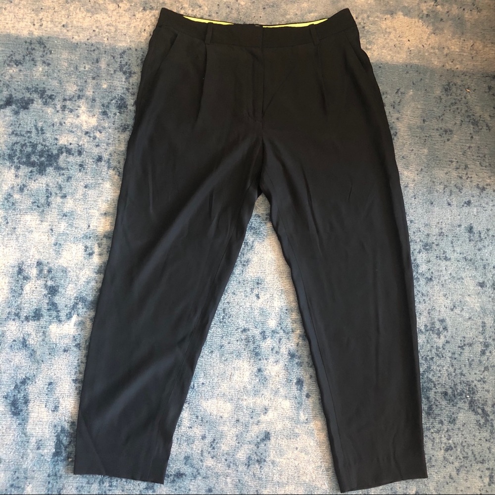 Aritzia Wilfred Silk Trouser